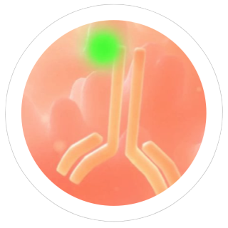 Translational Research
