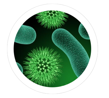Microbiology