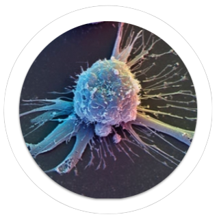 Microscopy
